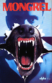 Random Coverscan