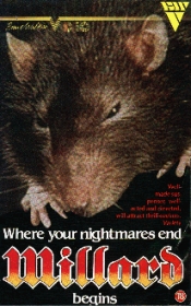 Random Coverscan