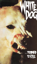 Random Coverscan