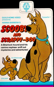 Random Coverscan