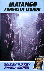 Random Coverscan