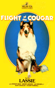 Random Coverscan
