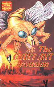 Random Coverscan