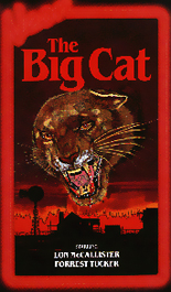 Random Coverscan