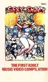 Random Coverscan