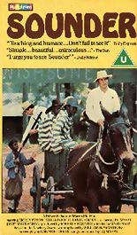 Random Coverscan