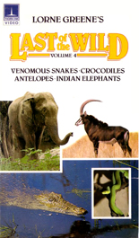 Random Coverscan